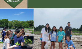 Two photos of teens volunteering outdoors - planting at a farm and cleaning up the beach. Text days "Live Green. Community Service for Junior High & High School students."